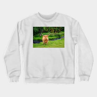 Highland Cow Crewneck Sweatshirt